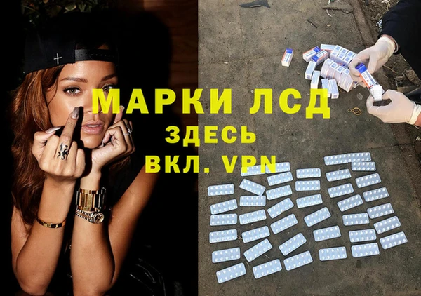 хмурый Алзамай