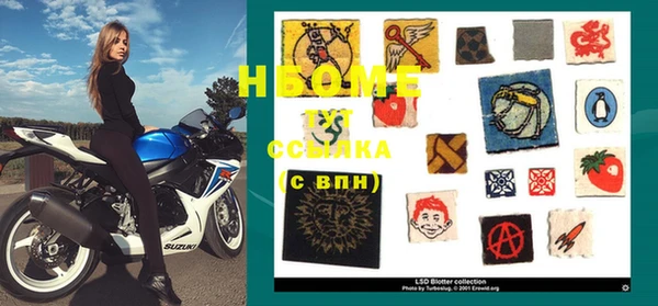 хмурый Алзамай