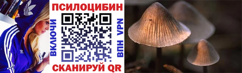 Псилоцибиновые грибы Magic Shrooms  Балабаново 