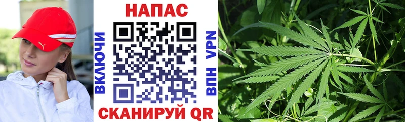 продажа наркотиков  Балабаново  Канабис гибрид 